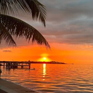 Meet your Posher, Gwen